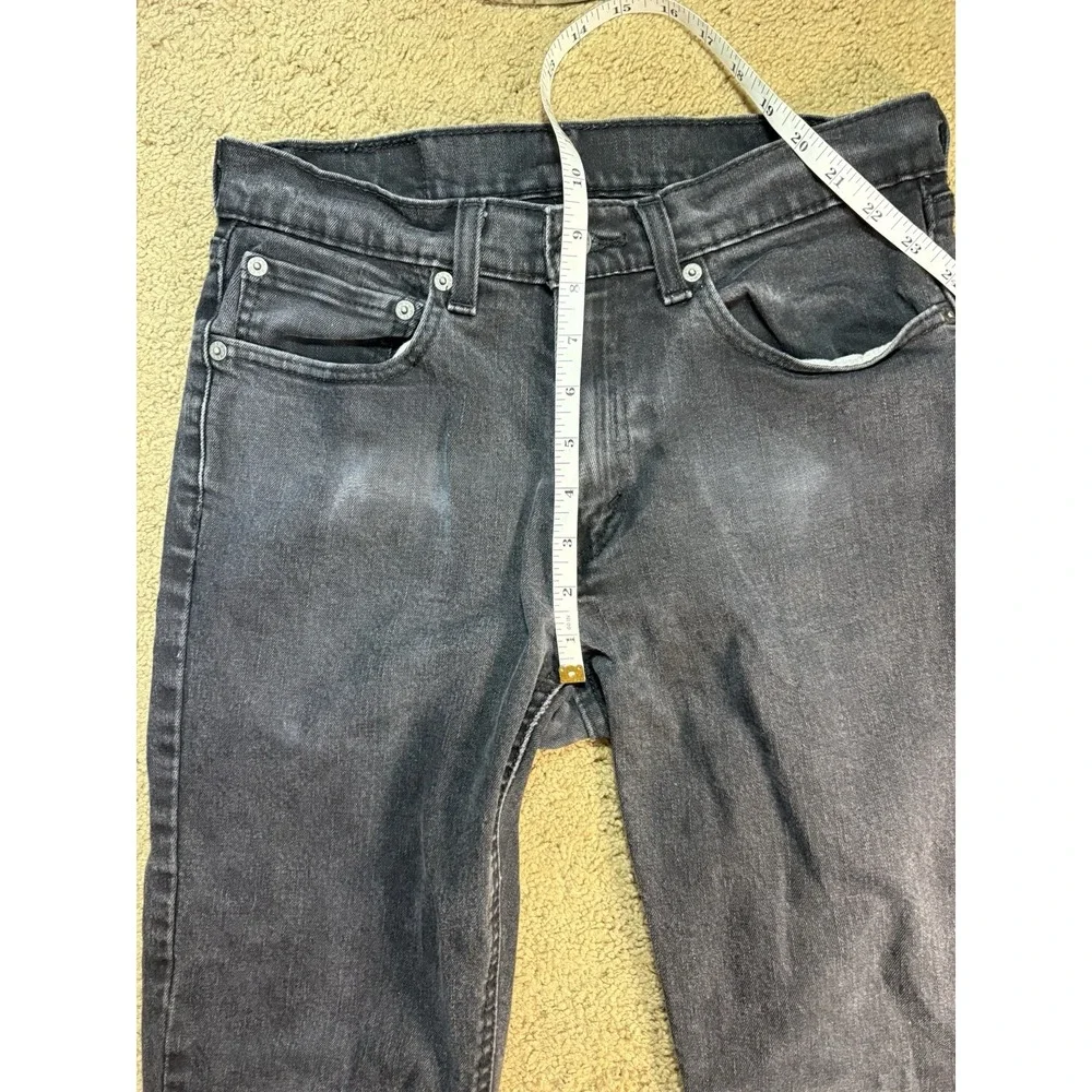 Levis levis 531